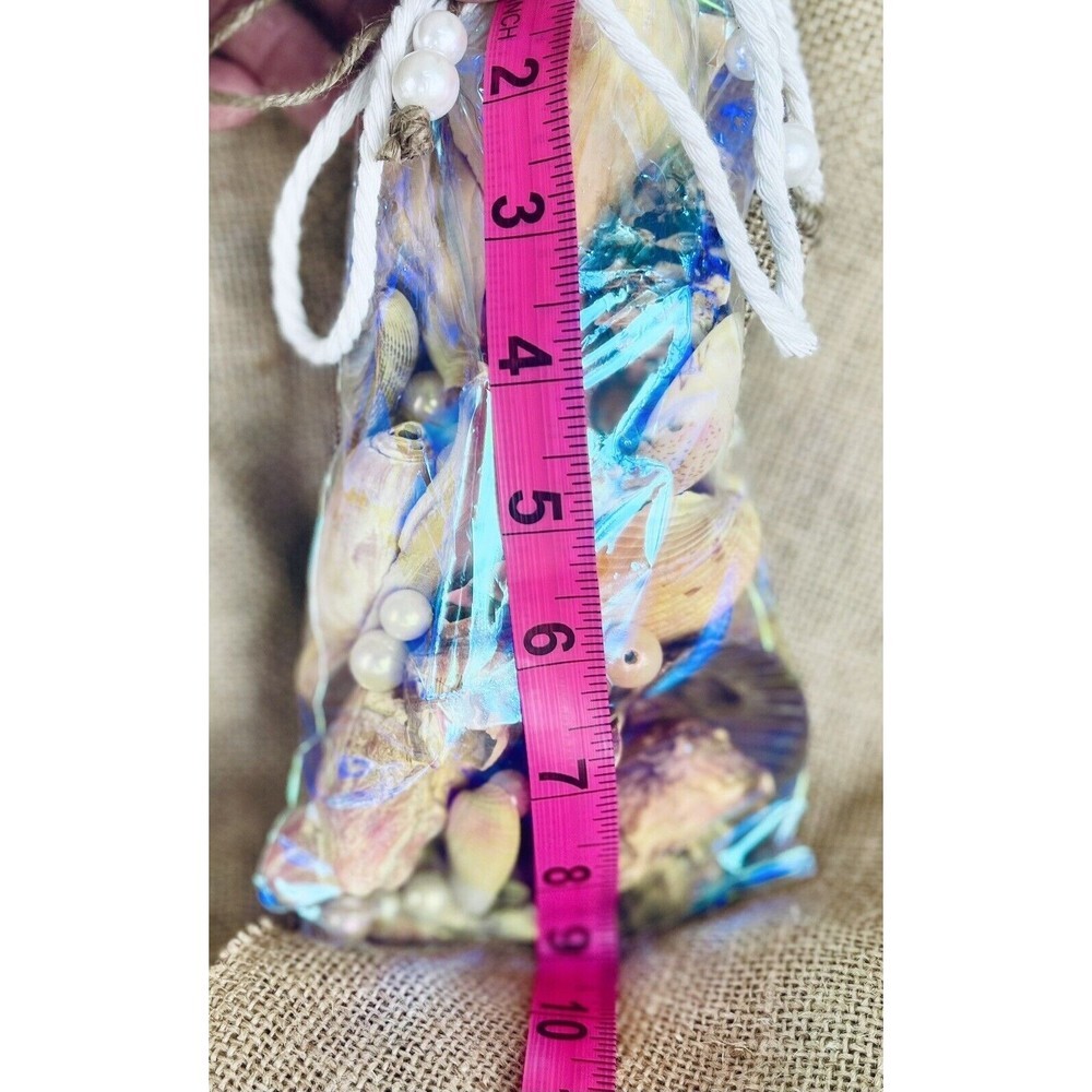 Gift Bag Of Beautiful Seashells Sourced From Coastal SE Georgia And NE Florida - Picture 5 of 16